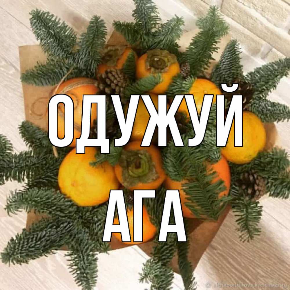 Открытка на каждый день з підписом, Ага Одужуй апельсины и хурьма Прикольна листівка з побажанням онлайн скачати безкоштовно 