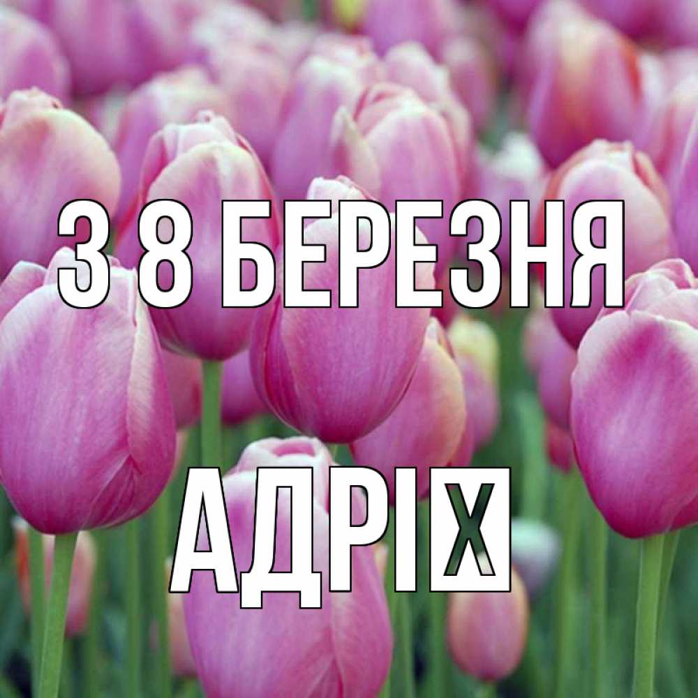 Открытка на каждый день з підписом, Адрії З 8 БЕРЕЗНЯ на международный женский день 3 Прикольна листівка з побажанням онлайн скачати безкоштовно 