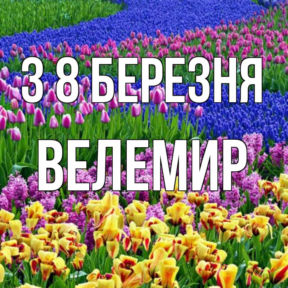 Открытка на каждый день з підписом, Велемир З 8 БЕРЕЗНЯ цветы Прикольна листівка з побажанням онлайн скачати безкоштовно 