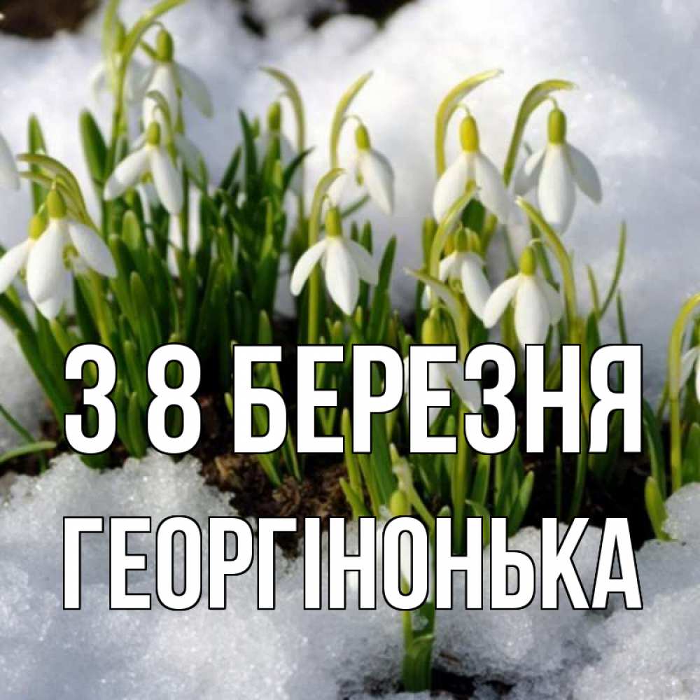 Открытка на каждый день з підписом, Георгінонька З 8 БЕРЕЗНЯ цветы весенние Прикольна листівка з побажанням онлайн скачати безкоштовно 