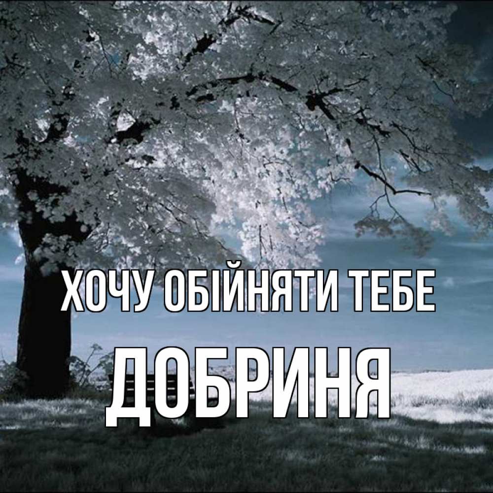 Открытка на каждый день з підписом, Добриня Хочу обійняти тебе дерево Прикольна листівка з побажанням онлайн скачати безкоштовно 
