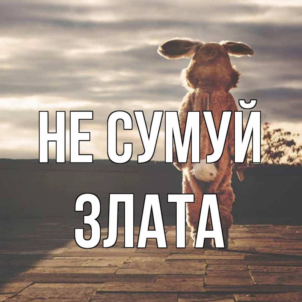 Открытка на каждый день з підписом, Злата Не сумуй со спины Прикольна листівка з побажанням онлайн скачати безкоштовно 