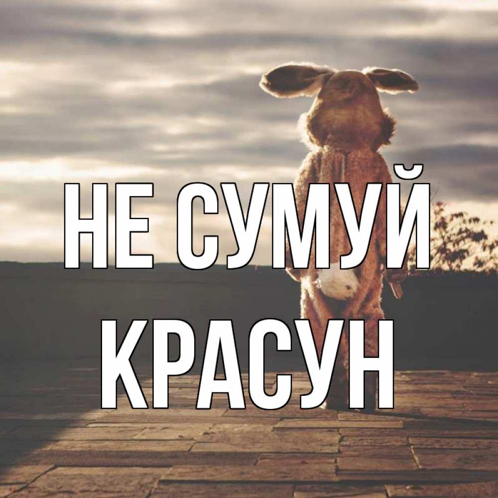 Открытка на каждый день з підписом, Красун Не сумуй со спины Прикольна листівка з побажанням онлайн скачати безкоштовно 