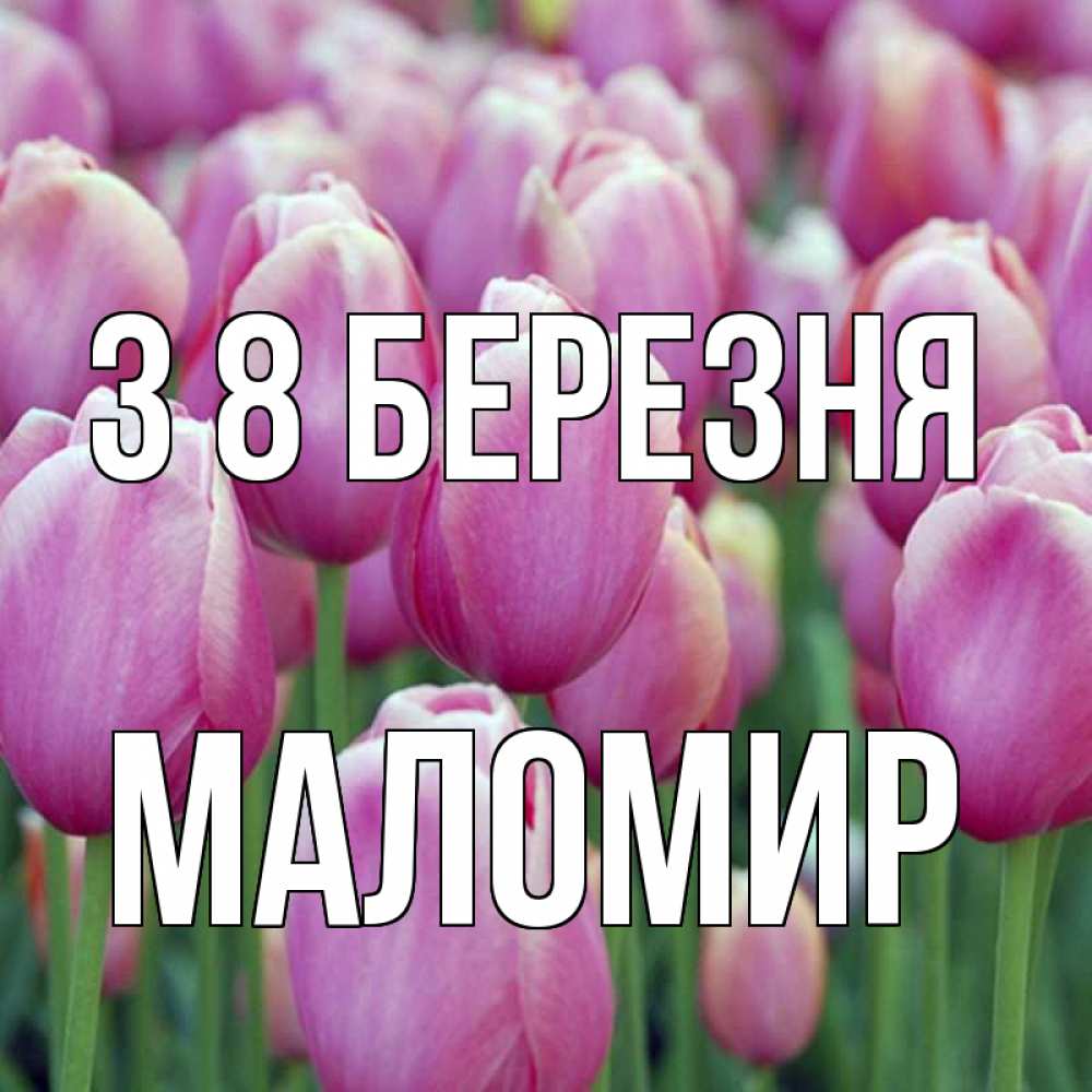 Открытка на каждый день з підписом, Маломир З 8 БЕРЕЗНЯ на международный женский день 3 Прикольна листівка з побажанням онлайн скачати безкоштовно 