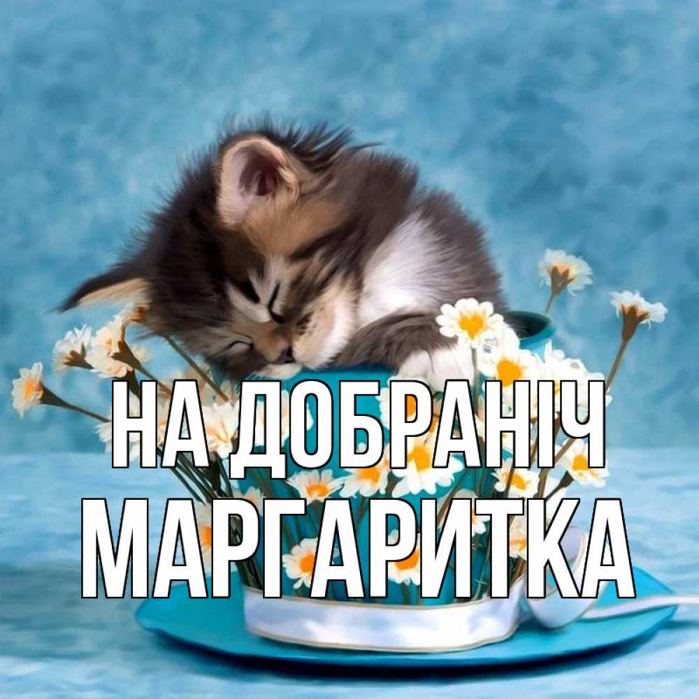 Открытка на каждый день з підписом, Маргаритка На добраніч котенок спит в кружке с блюдцем Прикольна листівка з побажанням онлайн скачати безкоштовно 