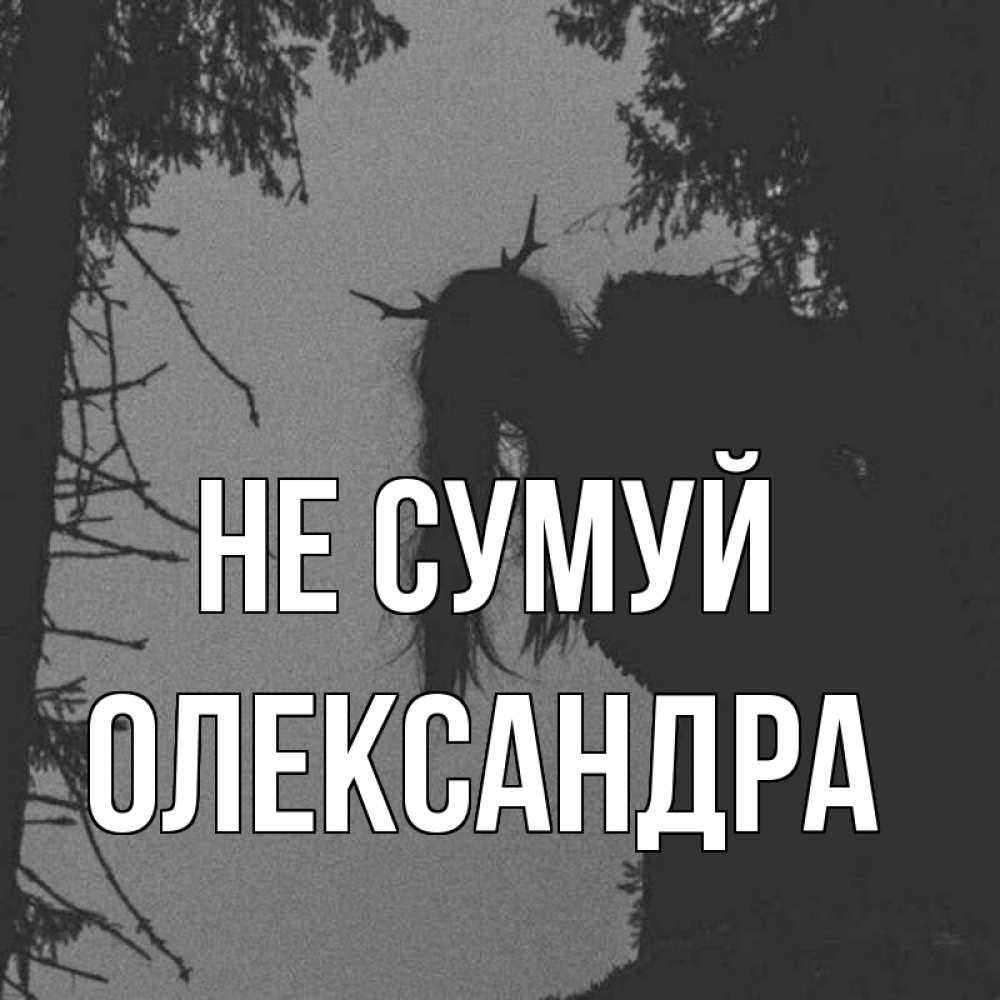 Открытка на каждый день з підписом, Олександра Не сумуй чудище лесное Прикольна листівка з побажанням онлайн скачати безкоштовно 