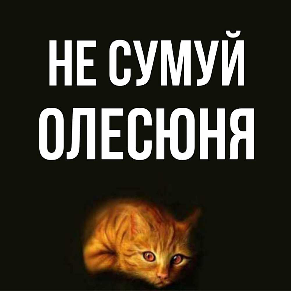 Открытка на каждый день з підписом, Олесюня Не сумуй лежащий кот в темноте Прикольна листівка з побажанням онлайн скачати безкоштовно 