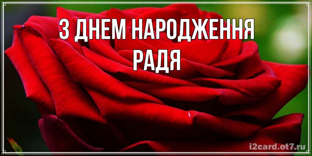 Открытка на каждый день з підписом, Радя З Днем народження розочка очень красивая Прикольна листівка з побажанням онлайн скачати безкоштовно 