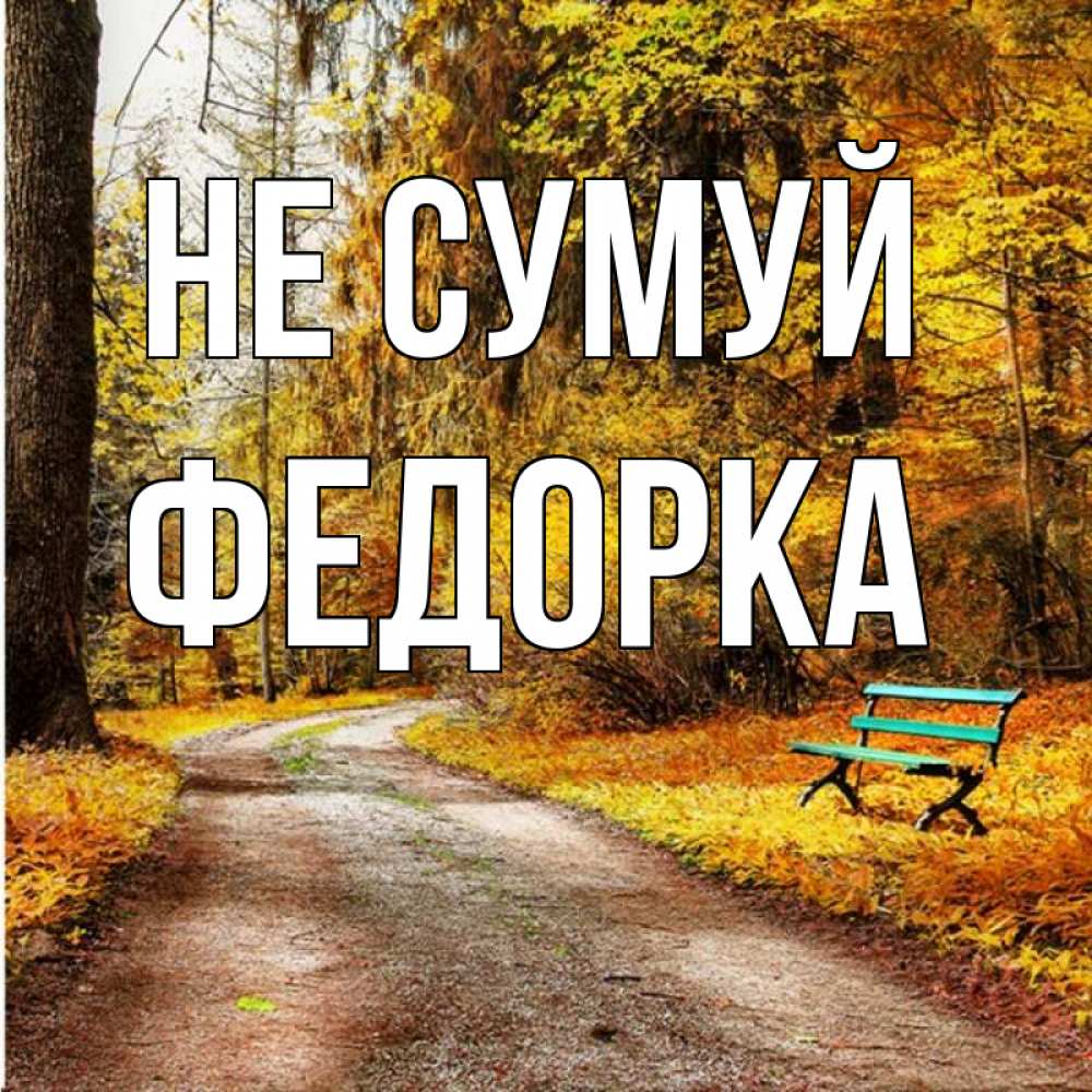 Открытка на каждый день з підписом, Федорка Не сумуй зеленая лавочка Прикольна листівка з побажанням онлайн скачати безкоштовно 