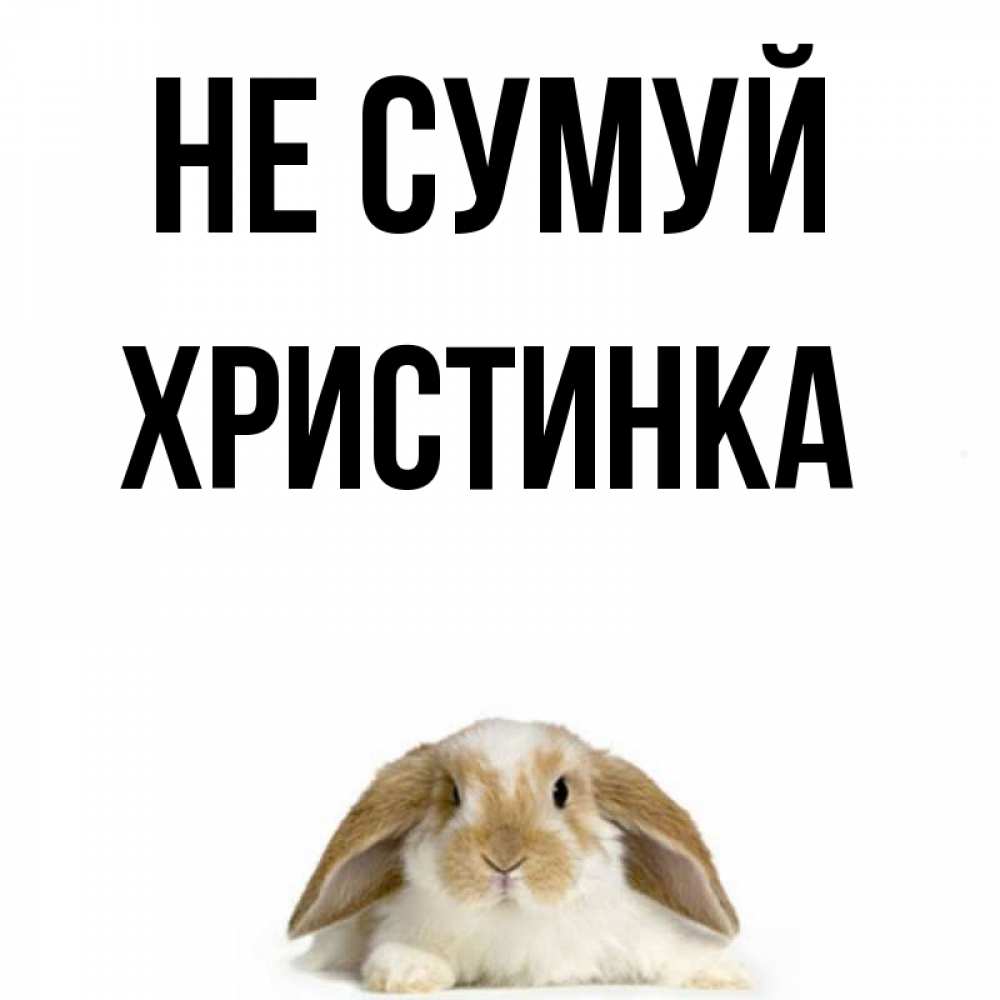 Открытка на каждый день з підписом, Христинка Не сумуй коричнево белый заяц с большими ушками Прикольна листівка з побажанням онлайн скачати безкоштовно 
