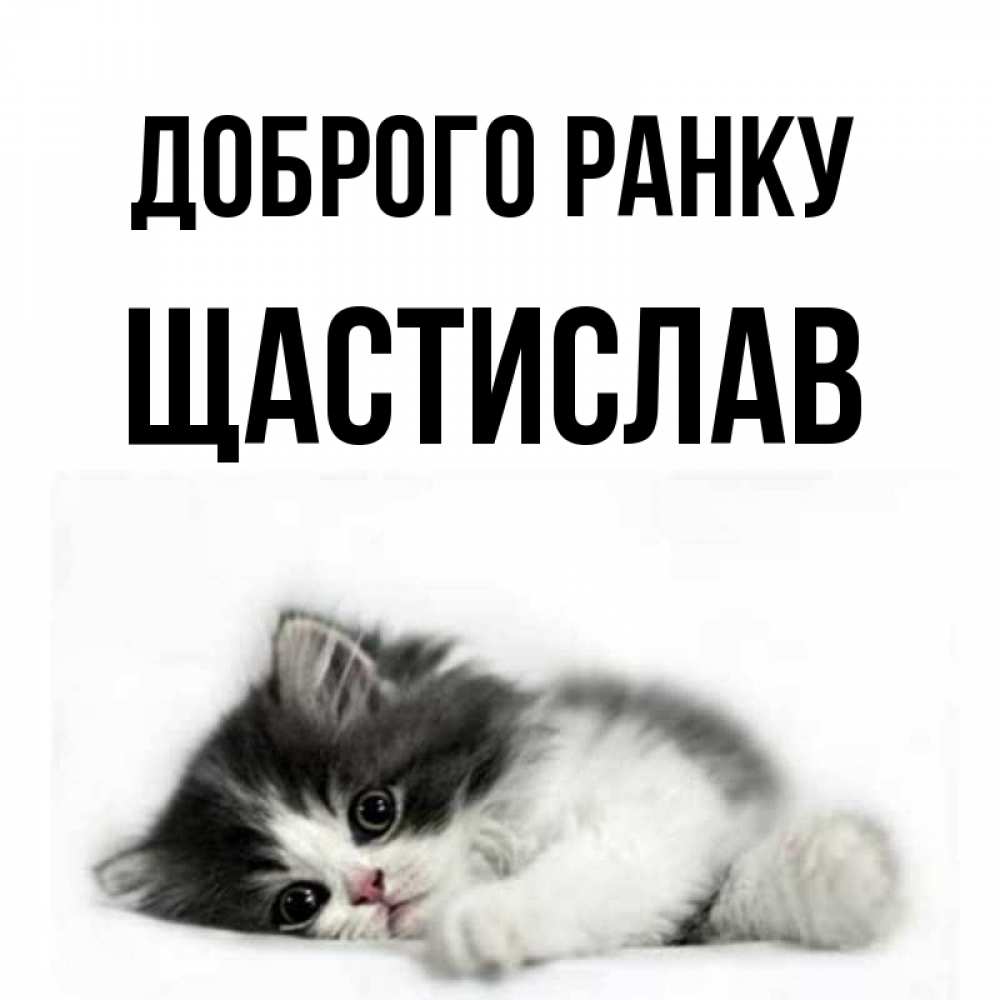 Открытка на каждый день з підписом, Щастислав Доброго ранку кот лапки Прикольна листівка з побажанням онлайн скачати безкоштовно 