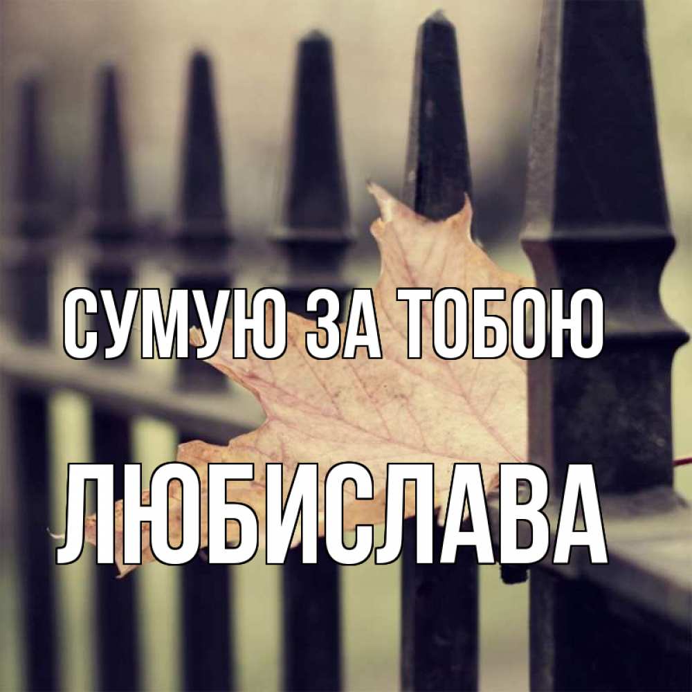 Открытка на каждый день з підписом, Любислава Сумую за тобою очень скучно Прикольна листівка з побажанням онлайн скачати безкоштовно 
