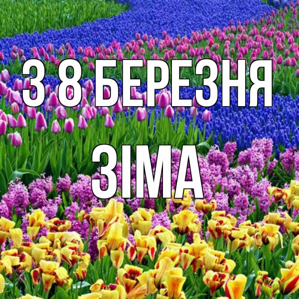 Открытка на каждый день з підписом, Зіма З 8 БЕРЕЗНЯ цветы Прикольна листівка з побажанням онлайн скачати безкоштовно 