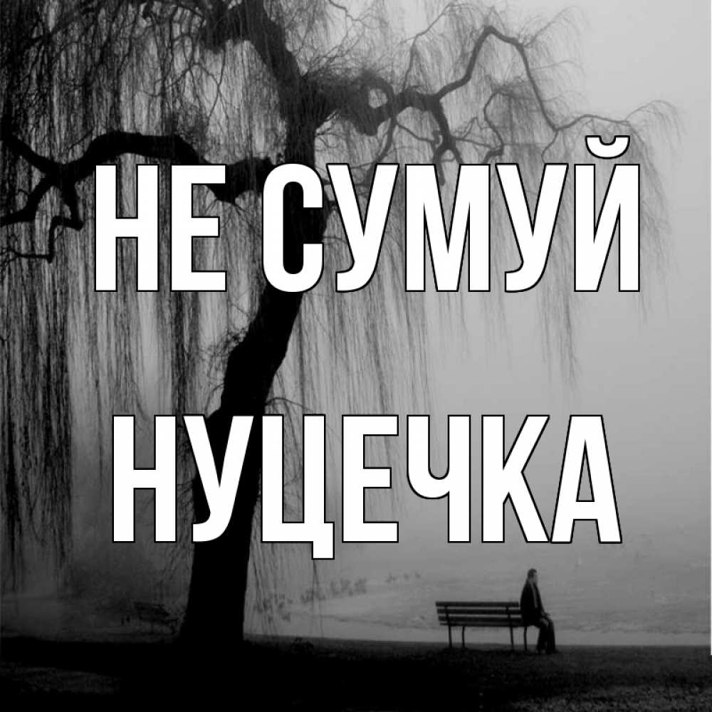 Открытка на каждый день з підписом, Нуцечка Не сумуй висящие ветки дерева и лавочка под деревом Прикольна листівка з побажанням онлайн скачати безкоштовно 