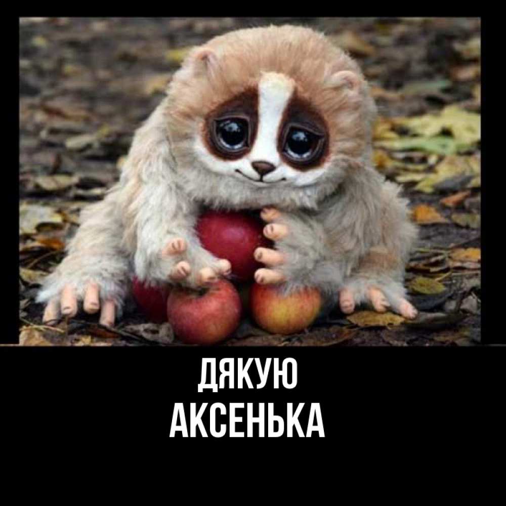 Открытка на каждый день з підписом, Аксенька Дякую прикольное животное Прикольна листівка з побажанням онлайн скачати безкоштовно 