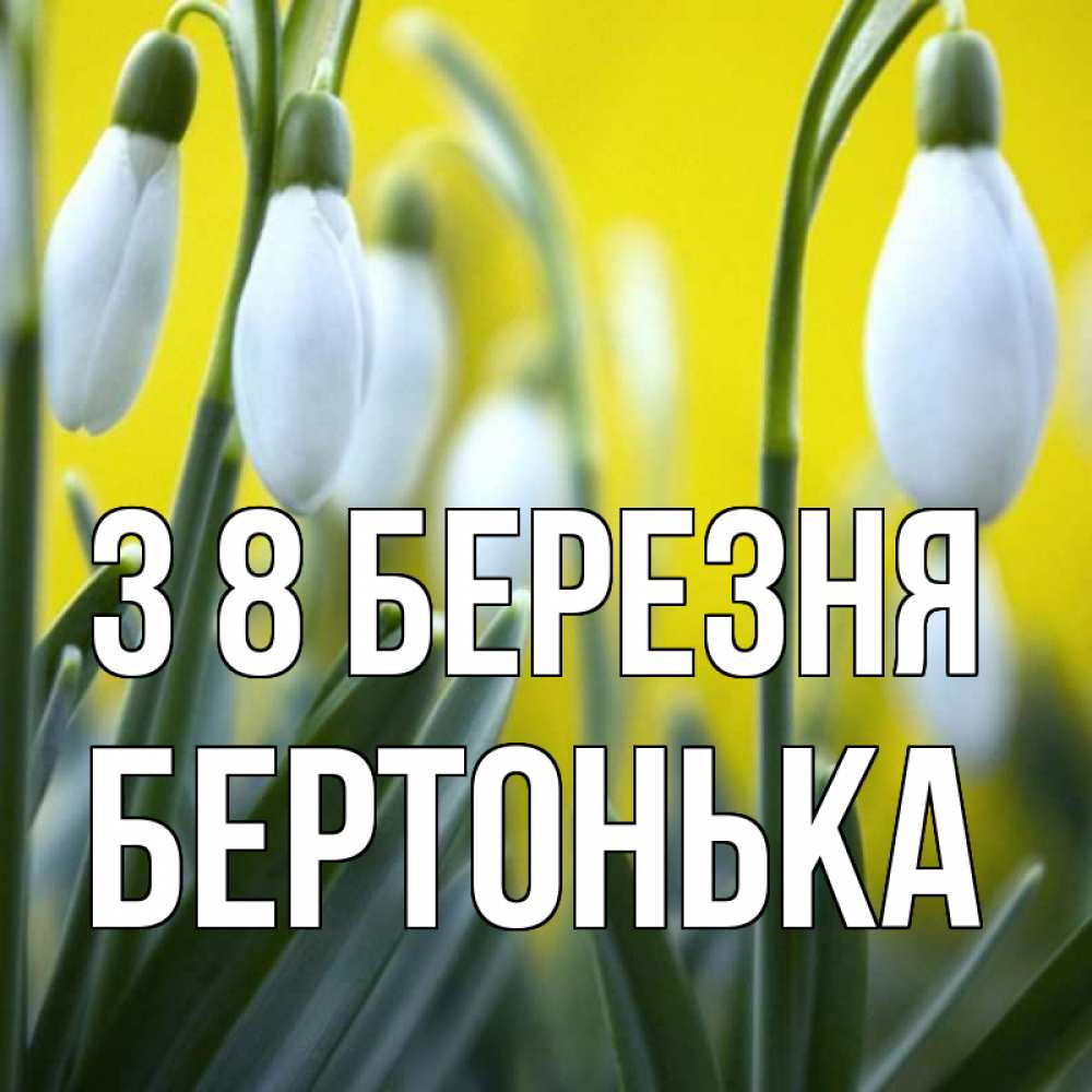 Открытка на каждый день з підписом, Бертонька З 8 БЕРЕЗНЯ весенние цветы Прикольна листівка з побажанням онлайн скачати безкоштовно 