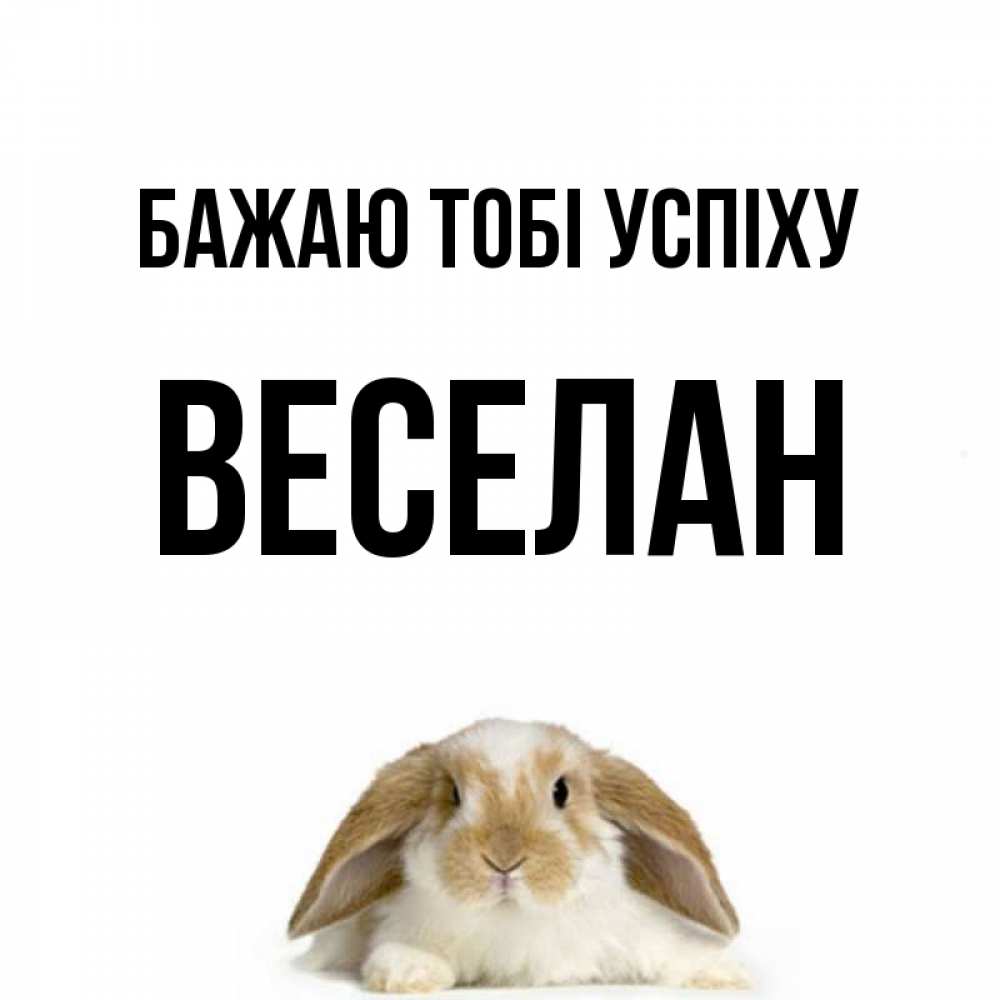 Открытка на каждый день з підписом, Веселан Бажаю тобі успіху открытки с произвольным текстом который можно вставить в открытку и создать ее самостоятельно бесплатно онлайн Прикольна листівка з побажанням онлайн скачати безкоштовно 