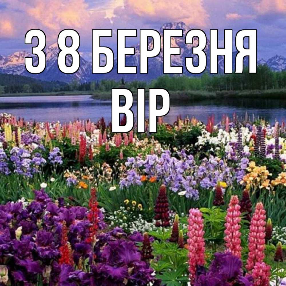 Открытка на каждый день з підписом, Вір З 8 БЕРЕЗНЯ международный женский день Прикольна листівка з побажанням онлайн скачати безкоштовно 