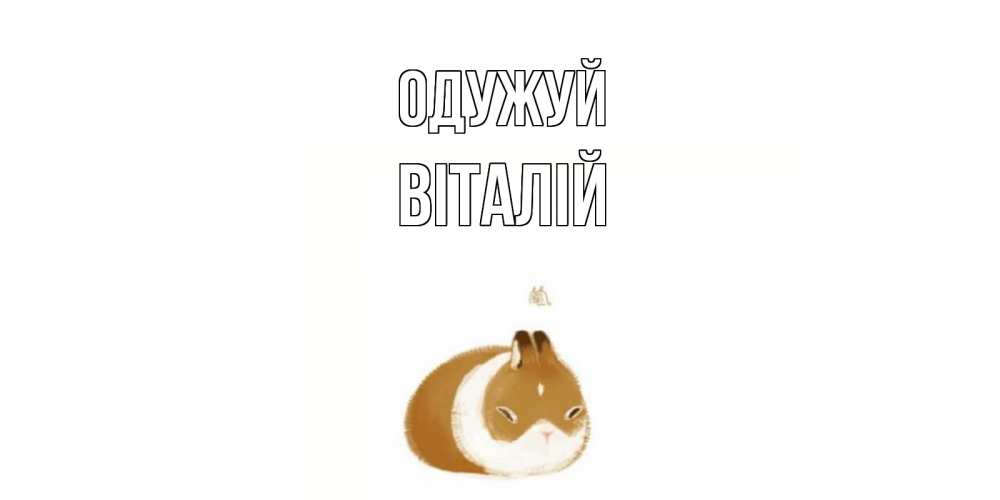 Открытка на каждый день з підписом, Віталій Одужуй морская свинка на открытке с пожеланиями не болеть Прикольна листівка з побажанням онлайн скачати безкоштовно 