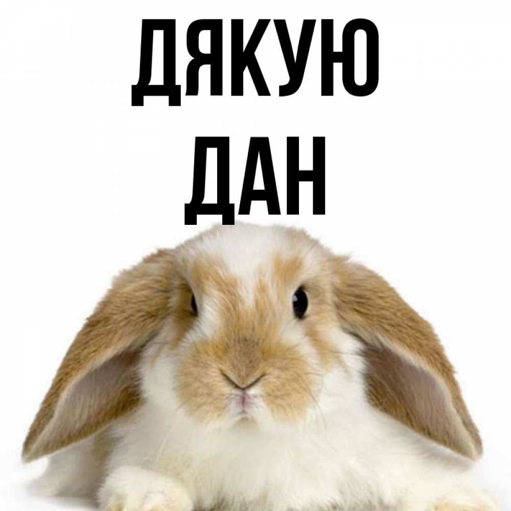Открытка на каждый день з підписом, Дан Дякую коричнево белый заяц Прикольна листівка з побажанням онлайн скачати безкоштовно 