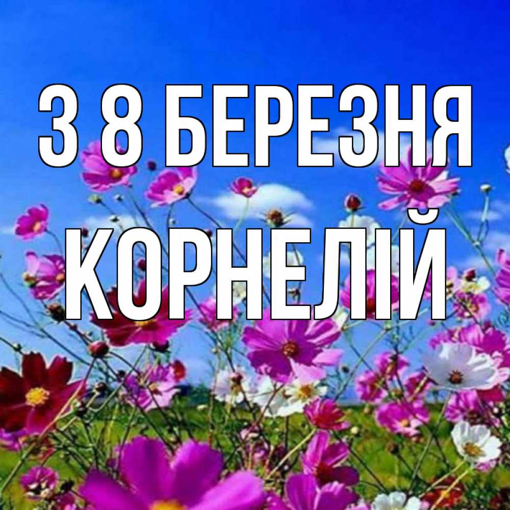 Открытка на каждый день з підписом, Корнелій З 8 БЕРЕЗНЯ цветы Прикольна листівка з побажанням онлайн скачати безкоштовно 