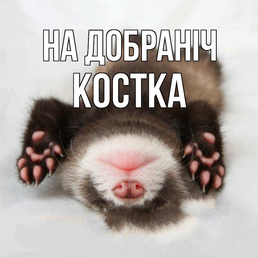 Открытка на каждый день з підписом, Костка На добраніч зверек Прикольна листівка з побажанням онлайн скачати безкоштовно 