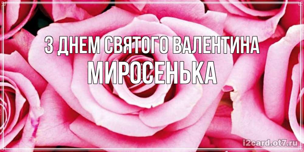 Открытка на каждый день з підписом, Миросенька З Днем Святого Валентина роза розовая на день Святого Валентина Прикольна листівка з побажанням онлайн скачати безкоштовно 