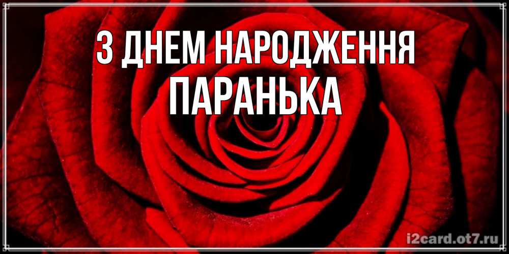 Открытка на каждый день з підписом, Паранька З Днем народження алая роза Прикольна листівка з побажанням онлайн скачати безкоштовно 