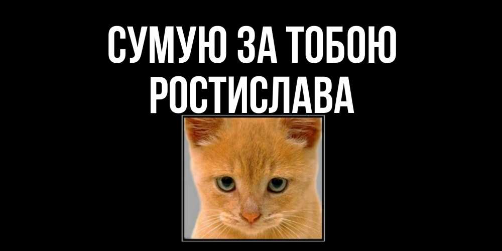 Открытка на каждый день з підписом, Ростислава Сумую за тобою открытки рыжий котенок скучает по тебе Прикольна листівка з побажанням онлайн скачати безкоштовно 