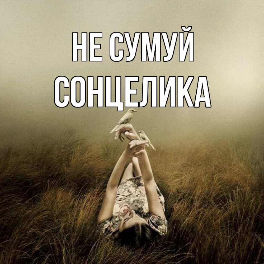 Открытка на каждый день з підписом, Сонцелика Не сумуй поле и туман Прикольна листівка з побажанням онлайн скачати безкоштовно 