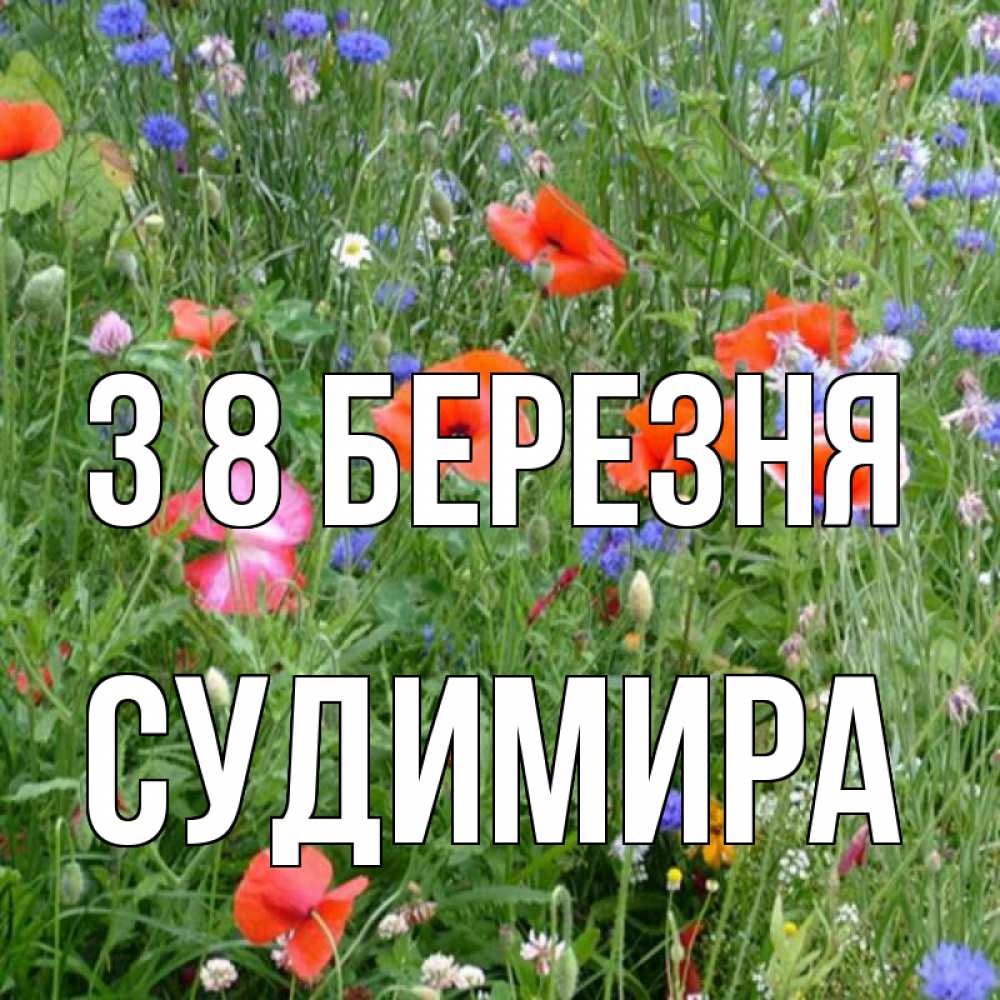 Открытка на каждый день з підписом, Судимира З 8 БЕРЕЗНЯ международный женский день 4 Прикольна листівка з побажанням онлайн скачати безкоштовно 