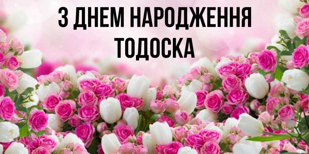 Открытка на каждый день з підписом, Тодоска З Днем народження открытка с разными розами Прикольна листівка з побажанням онлайн скачати безкоштовно 
