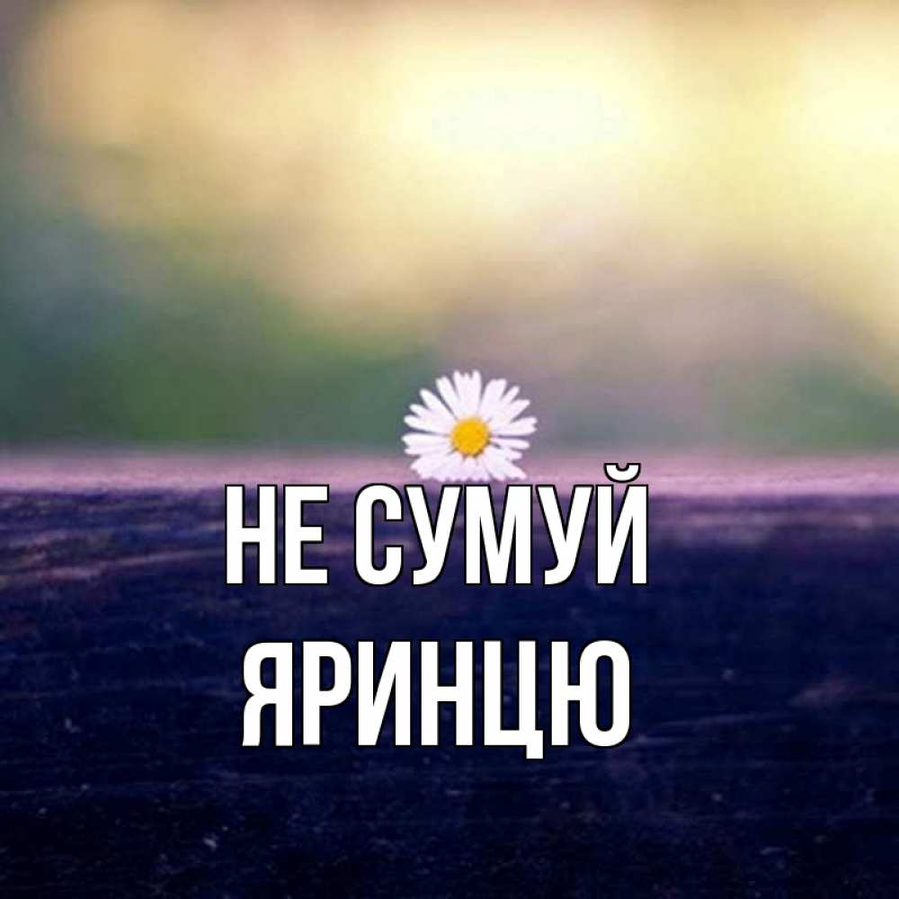 Открытка на каждый день з підписом, Яринцю Не сумуй красота Прикольна листівка з побажанням онлайн скачати безкоштовно 