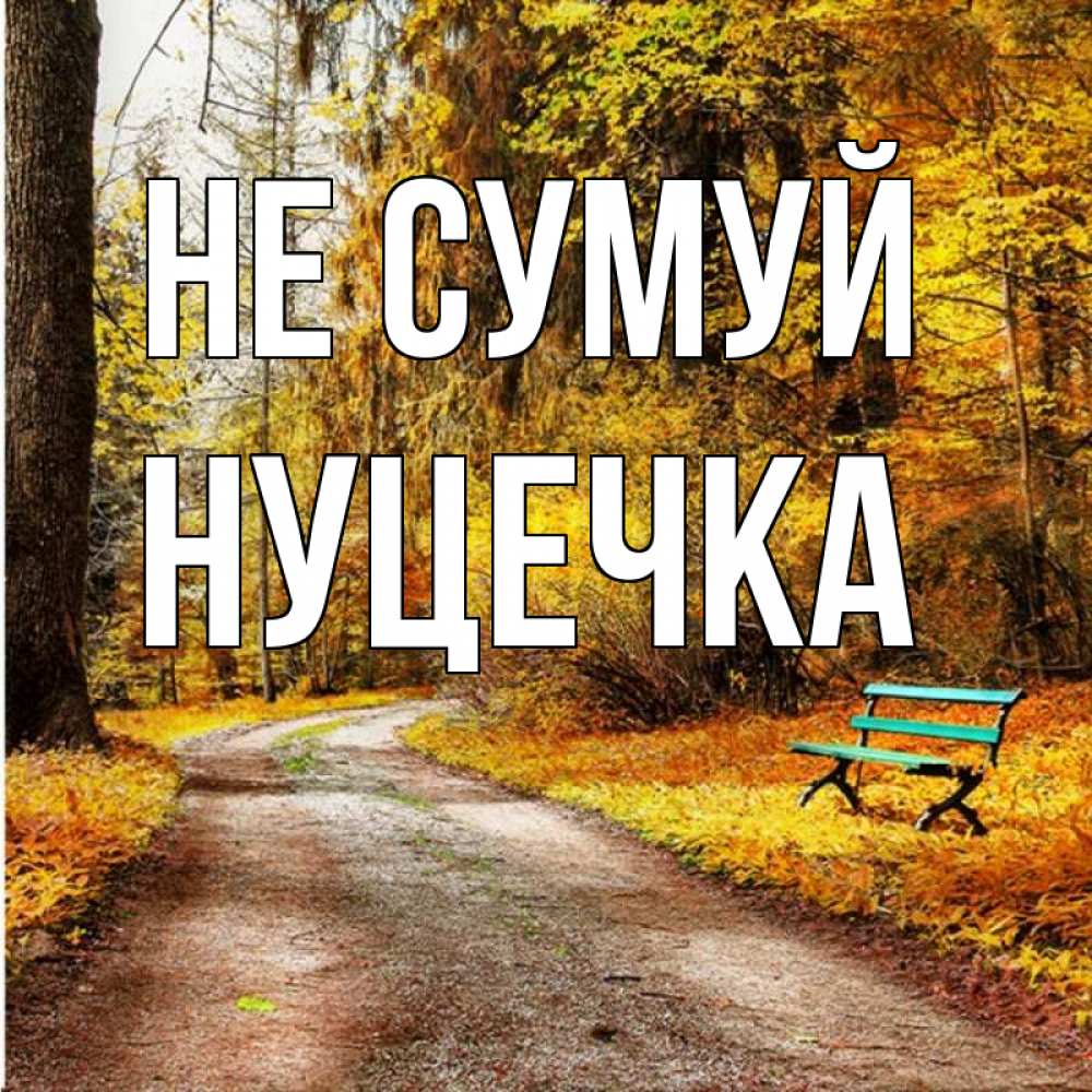 Открытка на каждый день з підписом, Нуцечка Не сумуй зеленая лавочка Прикольна листівка з побажанням онлайн скачати безкоштовно 
