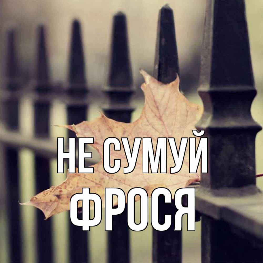Открытка на каждый день з підписом, Фрося Не сумуй лист клена Прикольна листівка з побажанням онлайн скачати безкоштовно 