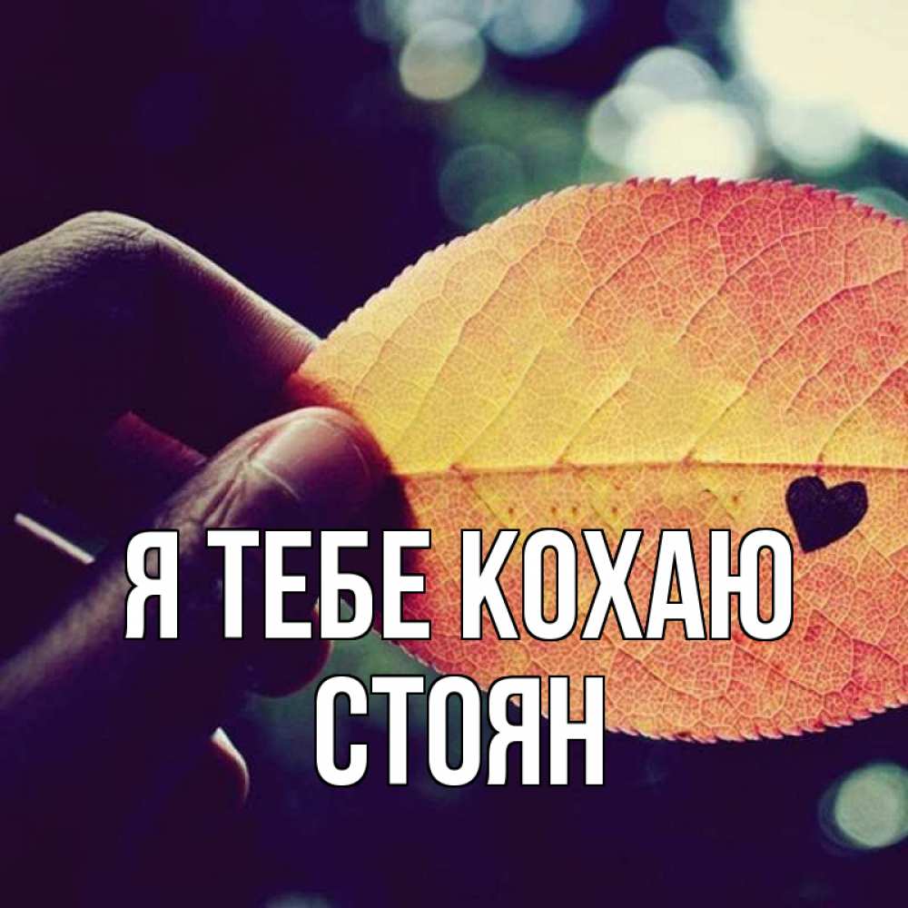 Открытка на каждый день з підписом, Стоян Я тебе кохаю держу лист Прикольна листівка з побажанням онлайн скачати безкоштовно 