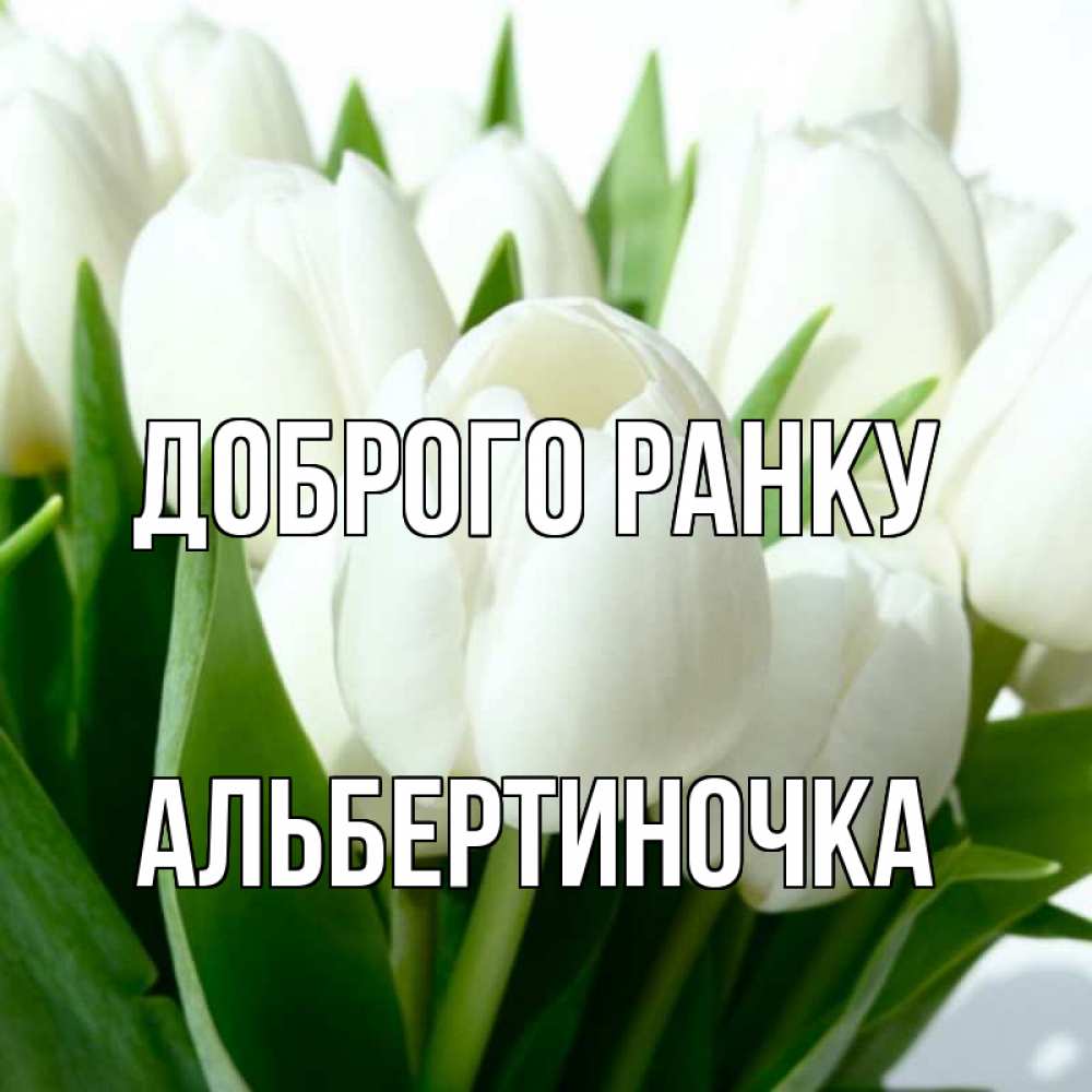 Открытка на каждый день з підписом, Альбертиночка Доброго ранку открытки на каждый день по именам Прикольна листівка з побажанням онлайн скачати безкоштовно 