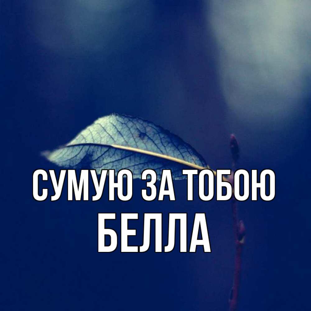 Открытка на каждый день з підписом, Белла Сумую за тобою одна ветка 1 Прикольна листівка з побажанням онлайн скачати безкоштовно 