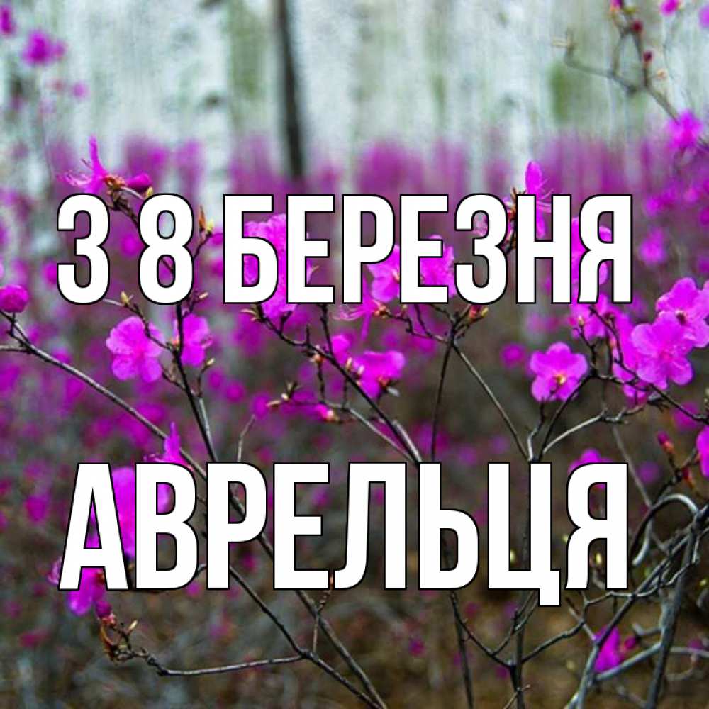 Открытка на каждый день з підписом, Аврельця З 8 БЕРЕЗНЯ дикие цветы Прикольна листівка з побажанням онлайн скачати безкоштовно 
