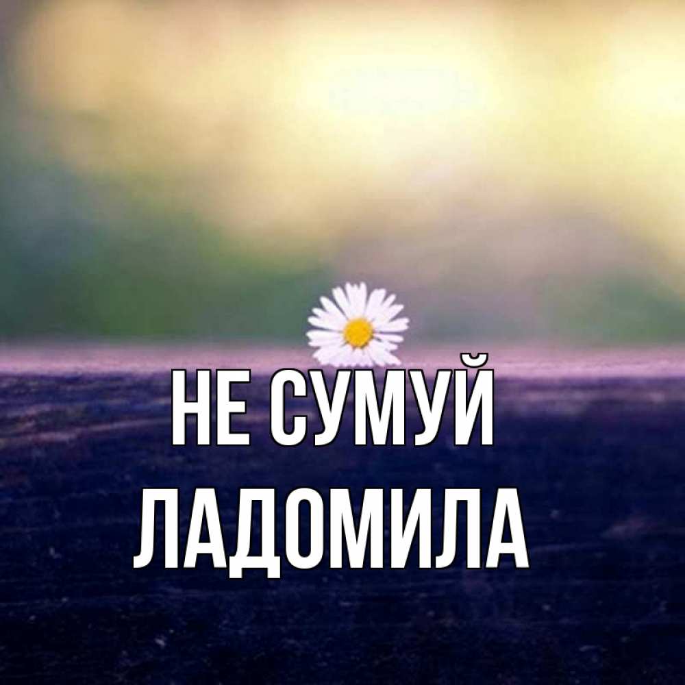 Открытка на каждый день з підписом, Ладомила Не сумуй красота Прикольна листівка з побажанням онлайн скачати безкоштовно 