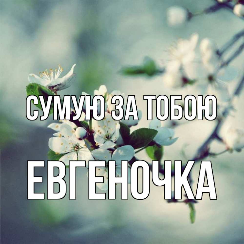 Открытка на каждый день з підписом, Евгеночка Сумую за тобою весна Прикольна листівка з побажанням онлайн скачати безкоштовно 