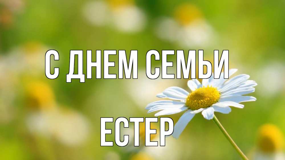 Открытка на каждый день з підписом, Естер С днем семьи с днем семьи  1 Прикольна листівка з побажанням онлайн скачати безкоштовно 