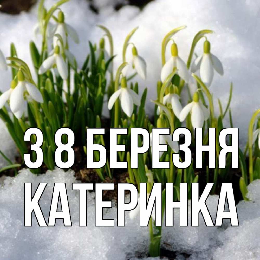 Открытка на каждый день з підписом, Катеринка З 8 БЕРЕЗНЯ цветы весенние Прикольна листівка з побажанням онлайн скачати безкоштовно 