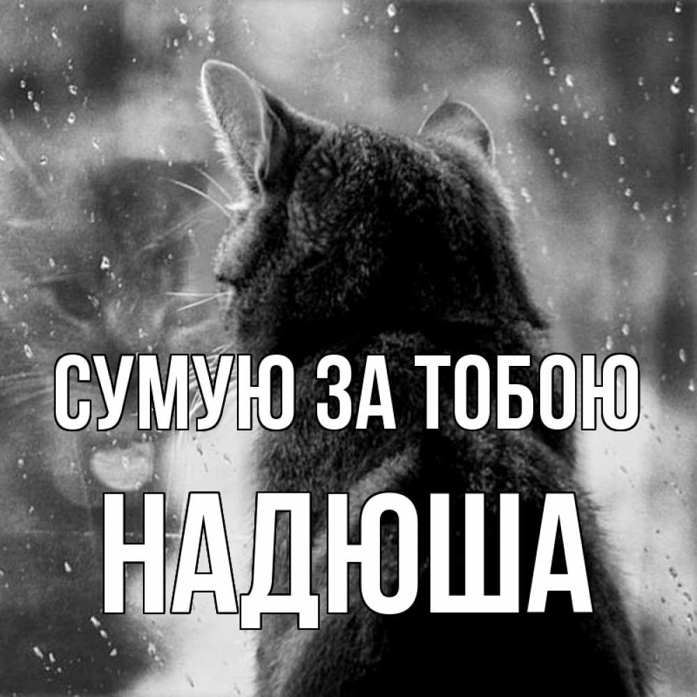 Открытка на каждый день з підписом, Надюша Сумую за тобою скорее ко мне приходи 1 Прикольна листівка з побажанням онлайн скачати безкоштовно 