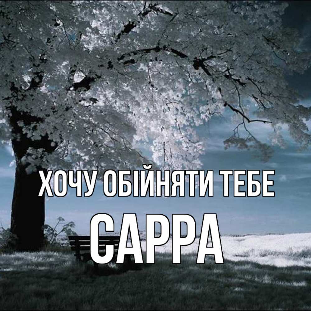 Открытка на каждый день з підписом, Сарра Хочу обійняти тебе дерево Прикольна листівка з побажанням онлайн скачати безкоштовно 