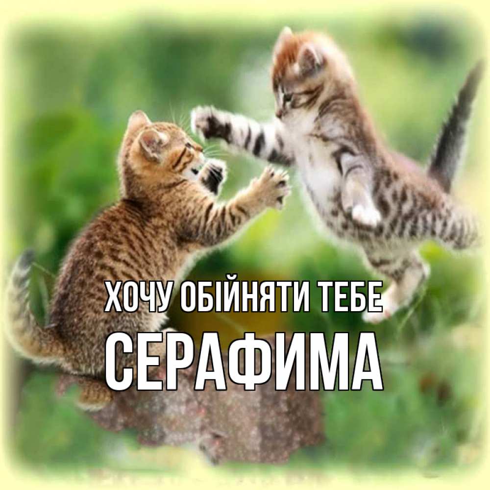 Открытка на каждый день з підписом, Серафима Хочу обійняти тебе игры котят Прикольна листівка з побажанням онлайн скачати безкоштовно 