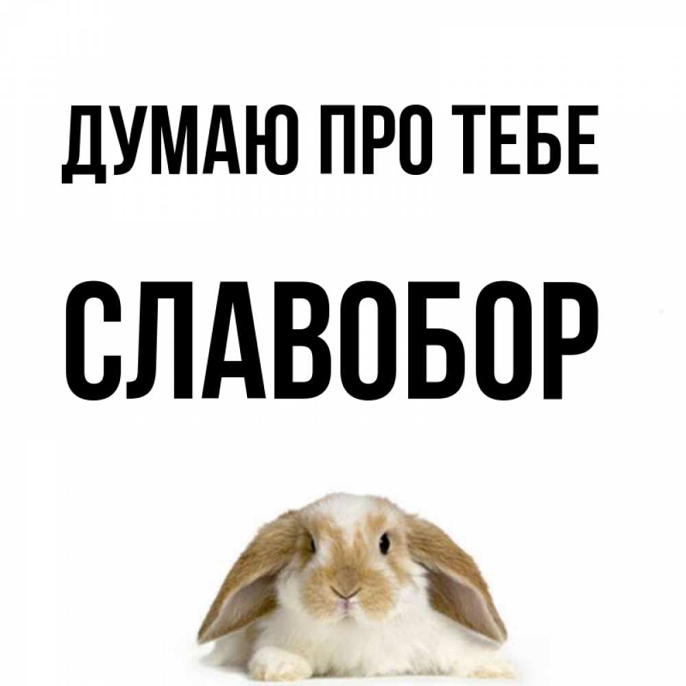 Открытка на каждый день з підписом, Славобор Думаю про тебе подписать своими руками онлайн Прикольна листівка з побажанням онлайн скачати безкоштовно 