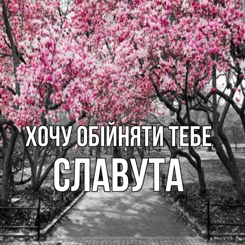 Открытка на каждый день з підписом, Славута Хочу обійняти тебе обработанное фото Прикольна листівка з побажанням онлайн скачати безкоштовно 