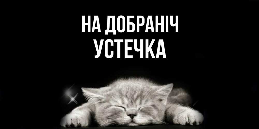 Открытка на каждый день з підписом, Устечка На добраніч спящий котик Прикольна листівка з побажанням онлайн скачати безкоштовно 