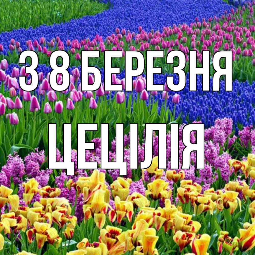 Открытка на каждый день з підписом, Цецілія З 8 БЕРЕЗНЯ цветы Прикольна листівка з побажанням онлайн скачати безкоштовно 